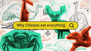 Free download Why Do Chinese People Seem to Eat Everything? - Why Chinese (E1) video and edit with RedcoolMedia movie maker MovieStudio video editor online and AudioStudio audio editor onlin