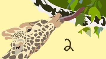 Free download Why do giraffes have such long necks? -Educational Animation video and edit with RedcoolMedia movie maker MovieStudio video editor online and AudioStudio audio editor onlin