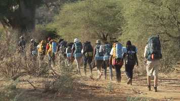 Free download Why do we need to ReWild ? video and edit with RedcoolMedia movie maker MovieStudio video editor online and AudioStudio audio editor onlin