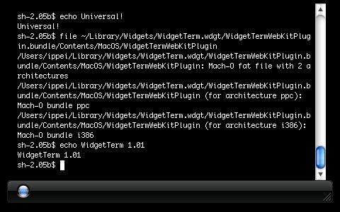 Download web tool or web app WidgetTerm