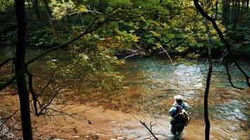 Free download Wild28 test trailer-01-033 video and edit with RedcoolMedia movie maker MovieStudio video editor online and AudioStudio audio editor onlin