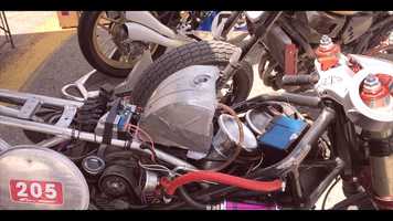 Free download Wildays video and edit with RedcoolMedia movie maker MovieStudio video editor online and AudioStudio audio editor onlin