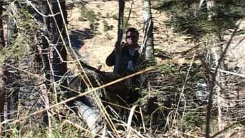 Free download Wildbach-Toni Folge 11: Die Pirsch video and edit with RedcoolMedia movie maker MovieStudio video editor online and AudioStudio audio editor onlin