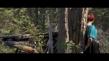 Free download Wild Constructs - Cycles video and edit with RedcoolMedia movie maker MovieStudio video editor online and AudioStudio audio editor onlin