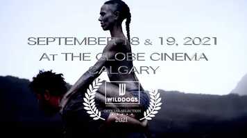 Free download WiLDDOGS FESTIVAL 2021 - official teaser #1.mp4 video and edit with RedcoolMedia movie maker MovieStudio video editor online and AudioStudio audio editor onlin