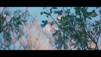 Free download Wildfire | 2019-2021 DP Reel video and edit with RedcoolMedia movie maker MovieStudio video editor online and AudioStudio audio editor onlin