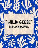 Free download Wild Geese by Mary Oliver video and edit with RedcoolMedia movie maker MovieStudio video editor online and AudioStudio audio editor onlin