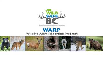Free download Wildlife Alert Reporting Program (WARP) video and edit with RedcoolMedia movie maker MovieStudio video editor online and AudioStudio audio editor onlin