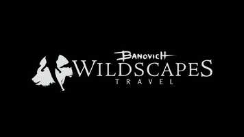 Free download Wildscapes Travel - Seeking a better understanding of the world around us through ART | TRAVEL | FILM | PHILANTHROPY video and edit with RedcoolMedia movie maker MovieStudio video editor online and AudioStudio audio editor onlin