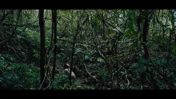 Free download WILD SEED_TRAILER video and edit with RedcoolMedia movie maker MovieStudio video editor online and AudioStudio audio editor onlin