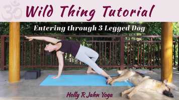 Free download Wild Thing Tutorial from 3 legged dog holly r jahn yoga video and edit with RedcoolMedia movie maker MovieStudio video editor online and AudioStudio audio editor onlin
