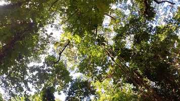 Free download Will  Brookes Cruise 2019 video and edit with RedcoolMedia movie maker MovieStudio video editor online and AudioStudio audio editor onlin