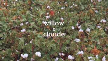 Free download Willow and Claude: Trailer 1 video and edit with RedcoolMedia movie maker MovieStudio video editor online and AudioStudio audio editor onlin