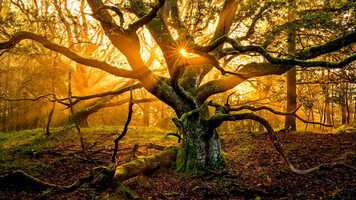 Free download Willy Porter - Available Light 1080p video and edit with RedcoolMedia movie maker MovieStudio video editor online and AudioStudio audio editor onlin