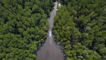 Free download Wilson  Ellen // Trailer video and edit with RedcoolMedia movie maker MovieStudio video editor online and AudioStudio audio editor onlin