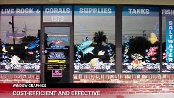 Free download Windows Vehicles video and edit with RedcoolMedia movie maker MovieStudio video editor online and AudioStudio audio editor onlin