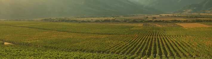 Free download Wine Museum Chile.mp4 video and edit with RedcoolMedia movie maker MovieStudio video editor online and AudioStudio audio editor onlin