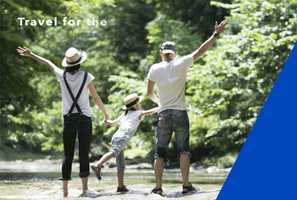 Free download Wing_animation_2_2 video and edit with RedcoolMedia movie maker MovieStudio video editor online and AudioStudio audio editor onlin