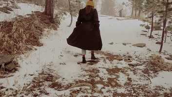 Free download Wing Honeymoon video and edit with RedcoolMedia movie maker MovieStudio video editor online and AudioStudio audio editor onlin