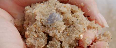 Free download Winter Beach / Summer Girl - BMPCC4K video and edit with RedcoolMedia movie maker MovieStudio video editor online and AudioStudio audio editor onlin