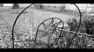 Free download Winter Calling || GX85 Cinematic Short Film || PANASONIC LUMIX G X VARIO II 12-35MM F/2.8 video and edit with RedcoolMedia movie maker MovieStudio video editor online and AudioStudio audio editor onlin