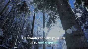 Free download WINTERS LIGHT video and edit with RedcoolMedia movie maker MovieStudio video editor online and AudioStudio audio editor onlin