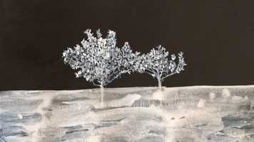 Free download wip Coastal Stabilisation  Habitat video and edit with RedcoolMedia movie maker MovieStudio video editor online and AudioStudio audio editor onlin