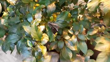 Free download Wisconsin beauty video and edit with RedcoolMedia movie maker MovieStudio video editor online and AudioStudio audio editor onlin