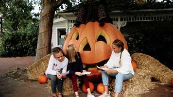 Free download WitchFest at Gardner Village video and edit with RedcoolMedia movie maker MovieStudio video editor online and AudioStudio audio editor onlin