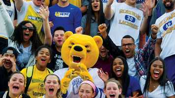 Free download WNE 100 Year Video video and edit with RedcoolMedia movie maker MovieStudio video editor online and AudioStudio audio editor onlin