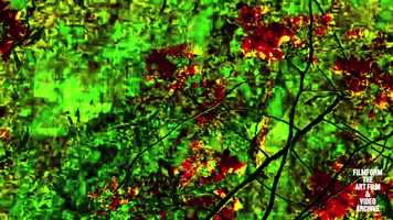 Free download Wolfgang Lehmann: Traces of Garden (2016, 2:57 min excerpt) video and edit with RedcoolMedia movie maker MovieStudio video editor online and AudioStudio audio editor onlin