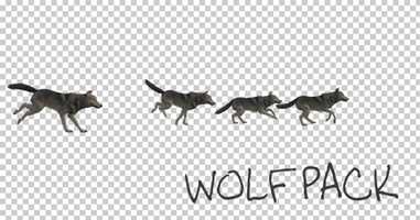 Free download Wolfpack Run Animation | Motion Graphics - Envato elements video and edit with RedcoolMedia movie maker MovieStudio video editor online and AudioStudio audio editor onlin