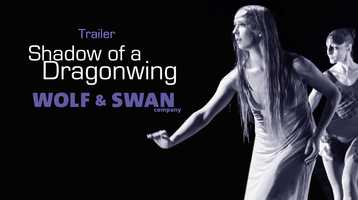 Free download WOLF  SWAN: Shadow Of A Dragonwing video and edit with RedcoolMedia movie maker MovieStudio video editor online and AudioStudio audio editor onlin