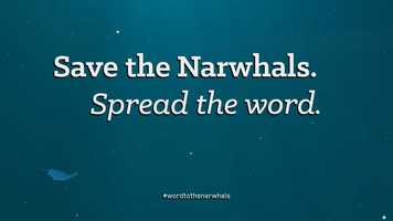Free download Word to The Narwhals video and edit with RedcoolMedia movie maker MovieStudio video editor online and AudioStudio audio editor onlin