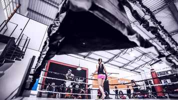 Free download Workout Reel After Effects Templates video and edit with RedcoolMedia movie maker MovieStudio video editor online and AudioStudio audio editor onlin