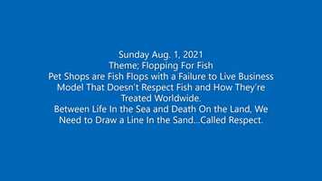 Free download World Fish Day.mp4 video and edit with RedcoolMedia movie maker MovieStudio video editor online and AudioStudio audio editor onlin