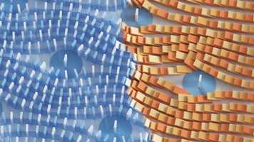 Free download World Health Organization  Studio Plankton - Case movie video and edit with RedcoolMedia movie maker MovieStudio video editor online and AudioStudio audio editor onlin