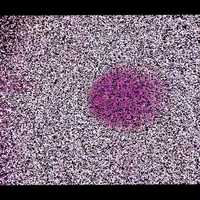 Free download 《Wormhole》5/6 video and edit with RedcoolMedia movie maker MovieStudio video editor online and AudioStudio audio editor onlin