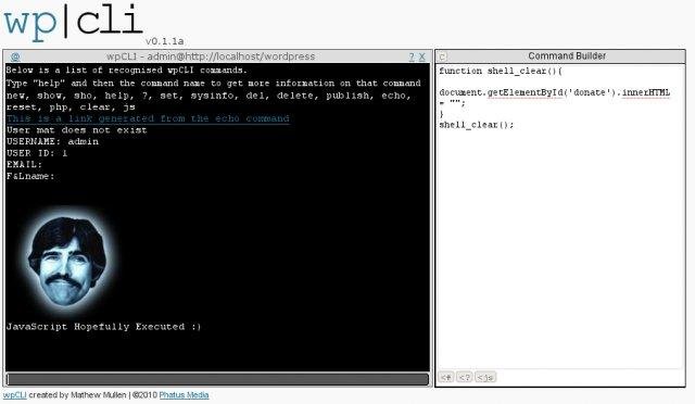 Download web tool or web app wpCLI