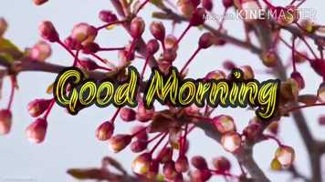 Free download Write down cursive alphabets A to Z. video and edit with RedcoolMedia movie maker MovieStudio video editor online and AudioStudio audio editor onlin