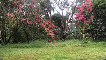 Free download WTF video and edit with RedcoolMedia movie maker MovieStudio video editor online and AudioStudio audio editor onlin