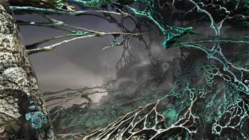 Free download Wunjo video and edit with RedcoolMedia movie maker MovieStudio video editor online and AudioStudio audio editor onlin