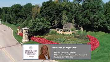 Free download Wynstone Community Video video and edit with RedcoolMedia movie maker MovieStudio video editor online and AudioStudio audio editor onlin