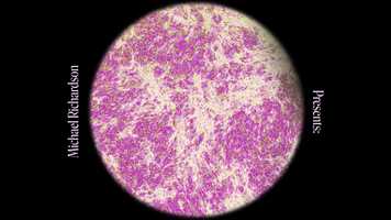 Free download X 2D Animated Student Flim video and edit with RedcoolMedia movie maker MovieStudio video editor online and AudioStudio audio editor onlin