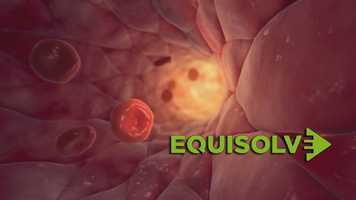 Free download 3d Medical Animation Videos | Pharmaceutical Technologies Video | Biotech Videos - Equisolve video and edit with RedcoolMedia movie maker MovieStudio video editor online and AudioStudio audio editor onlin