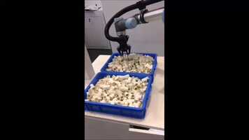 Free download 3D vision robot,industrial robot arm,collaborative robot,multiple axis robot,China factory video and edit with RedcoolMedia movie maker MovieStudio video editor online and AudioStudio audio editor onlin
