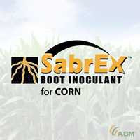 Free download ABM SabrEx for Corn video and edit with RedcoolMedia movie maker MovieStudio video editor online and AudioStudio audio editor onlin