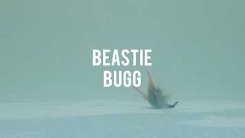 Free download Beastie Bugg // Buggs Fishing video and edit with RedcoolMedia movie maker MovieStudio video editor online and AudioStudio audio editor onlin