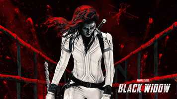 Free download Black Widow TV Spot video and edit with RedcoolMedia movie maker MovieStudio video editor online and AudioStudio audio editor onlin