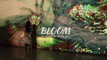 Free download BLOOM - AN INTERACTIVE MUSICAL WALL video and edit with RedcoolMedia movie maker MovieStudio video editor online and AudioStudio audio editor onlin